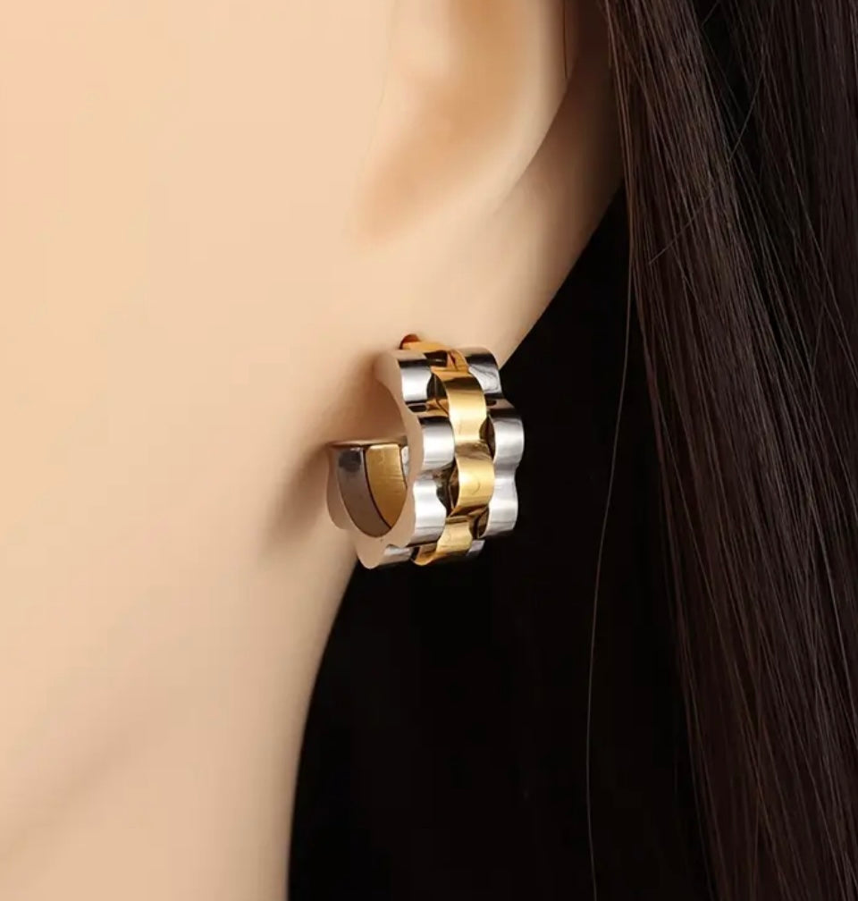 Stainless steel earrings