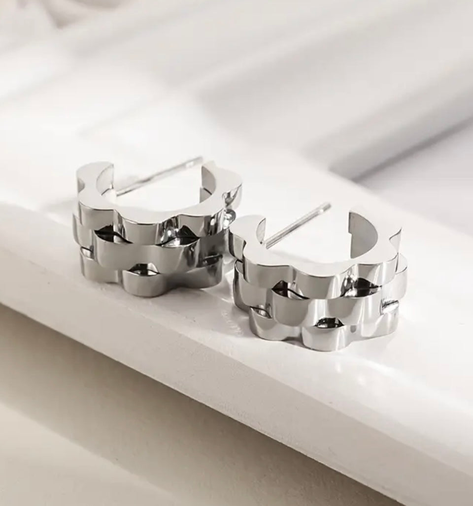Stainless steel earrings