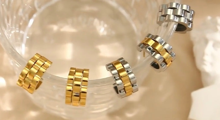 Stainless steel earrings