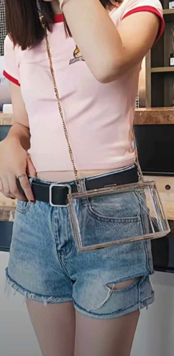 Acrilyc Clear Purse