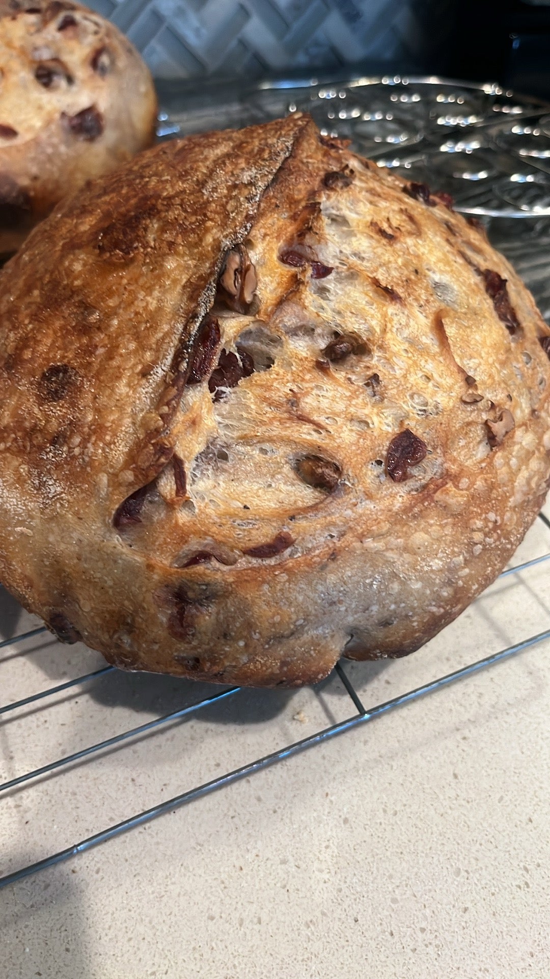 Cranberry Walnut Sourdough bread