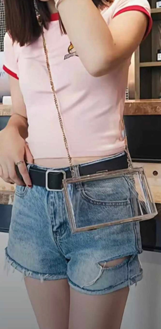 Acrilyc Clear Purse